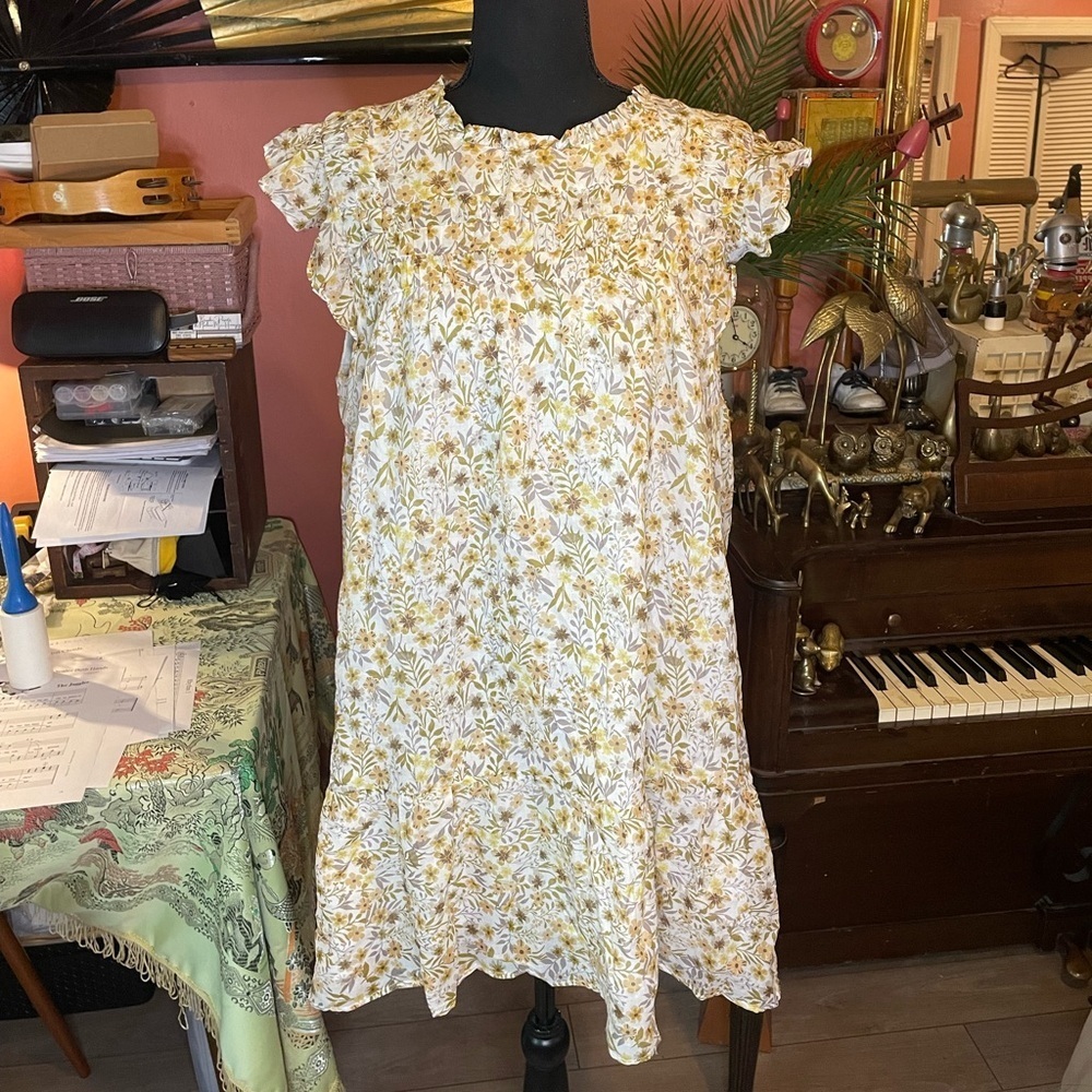 Aura the Label babydoll style dress with floral print and ruffle shoulders Large